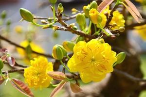 （示意圖源：互聯網） 