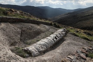 當地時間1月21日，希臘萊斯博斯島，罕見的化石樹被挖掘出土。（圖源：互聯網）