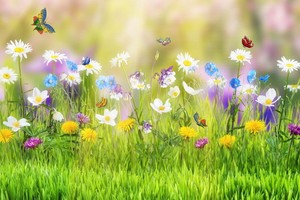 （示意圖源：互聯網） 