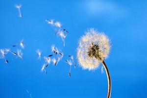 （示意圖源：互聯網） 