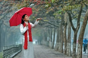 （示意圖源：互聯網） 