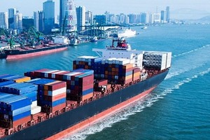 ２０２１年出口活動有望持續增長。（圖源：T.L）