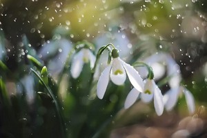 （示意圖源：互聯網） 