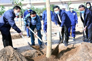河內市和資源與環境部領導參加植樹活動。（圖源：K.T）