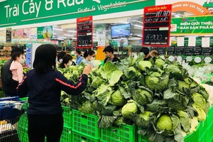 MM 超市拯救海陽省農產品