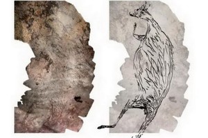 （示意圖源：互聯網） 