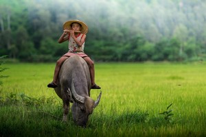 （示意圖源：互聯網） 