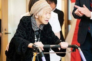 田中力子老人。（圖源：互聯網）