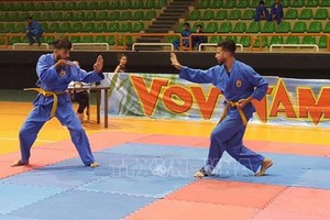 越南武表演節目。（圖源：越通社）