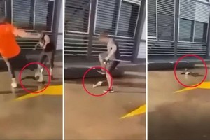 （圖源：互聯網） 