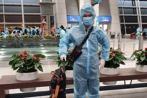 持有“疫苗護照”的鄭Calvin Q越僑醫生回國。 