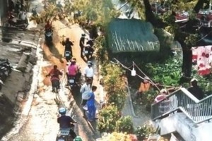 周經春作品《第八郡春花市》。