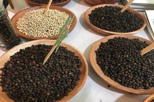 胡椒價格持續上漲。（圖源：欄儀）