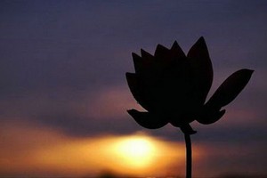 （示意圖源：互聯網） 