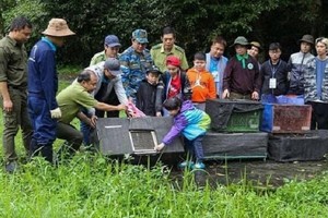 釋放 92  頭野生動物回歸大自然