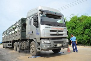 寧平省交通監察員在檢查一輛卡車的貨運載重。（圖源：越通社）