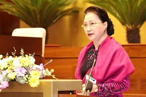 國會主席阮氏金銀在會上致詞。（圖源：越通社）