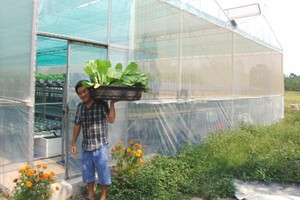 本市試行審批在農業地上建設生產輔助工程。