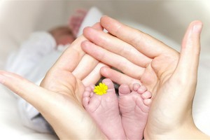 （示意圖源：互聯網） 