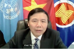 越南駐聯合國常值代表團團長鄧廷貴大使。（圖源：朱文）