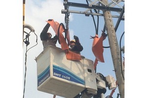 市電力總公司員工正在修繕電網。