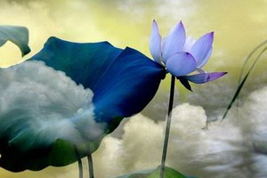 （示意圖源：互聯網） 