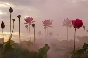 （示意圖源：互聯網） 