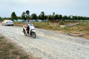 平政縣平利鄉的某地皮項目。