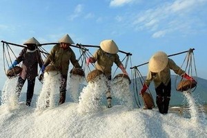 （示意圖源：互聯網） 