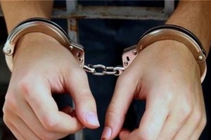 進行反國家宣傳者被捕