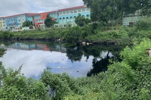 貫穿本市5個郡長達32公里的參良-濱桔河涌流域廢水排水系統尚待處理改善。（圖源：杜鸞）