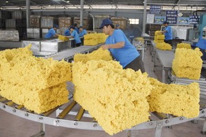 橡膠生產車間一隅。