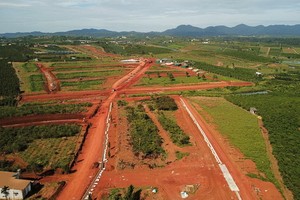 整一座茶丘被“切割”劃分後出售地皮。（圖源：碧陳）