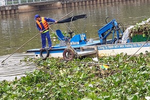 饒祿-氏藝涌經常出現浮萍。（圖源：阮珠）