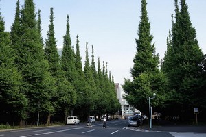 （示意圖源：互聯網） 