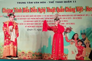 保存華人傳統文化藝術活動