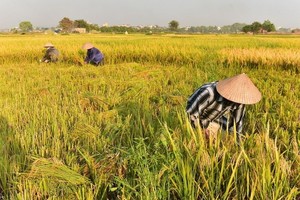 （示意圖源：互聯網） 