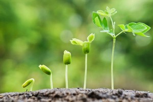 （示意圖源：互聯網） 