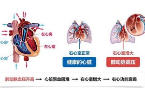 （示意圖源：互聯網） 