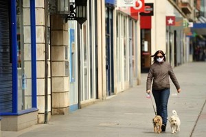 封城期間寵物失竊案升。（示意圖源：Getty Images）
