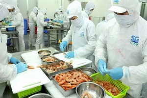 SG Food 公司加工蝦類出口。（圖源：高昇）