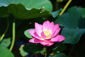 （示意圖源：互聯網） 