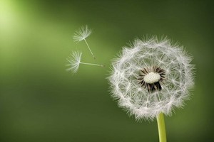 （示意圖源：互聯網） 