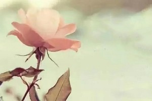 （示意圖源：互聯網） 