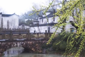 （示意圖源：互聯網） 