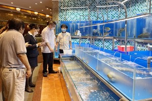 食客在銀庭“海鮮城”選擇海鮮。