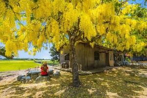 （示意圖源：互聯網） 