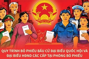 第十五屆國會代表選舉