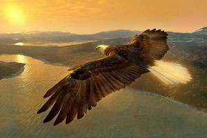 （示意圖源：互聯網） 