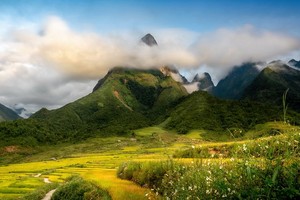 （示意圖源：互聯網） 